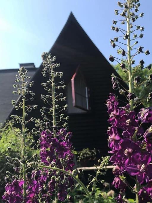 Laengtan Marielund Villa Uppsala Kültér fotó