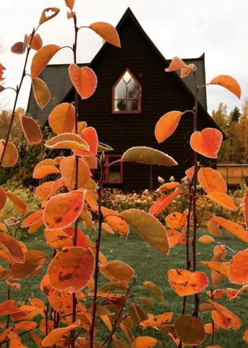 Laengtan Marielund Villa Uppsala Kültér fotó